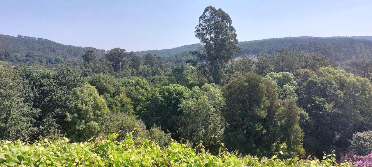 Green Paradise Glamping Covas  Esterno foto