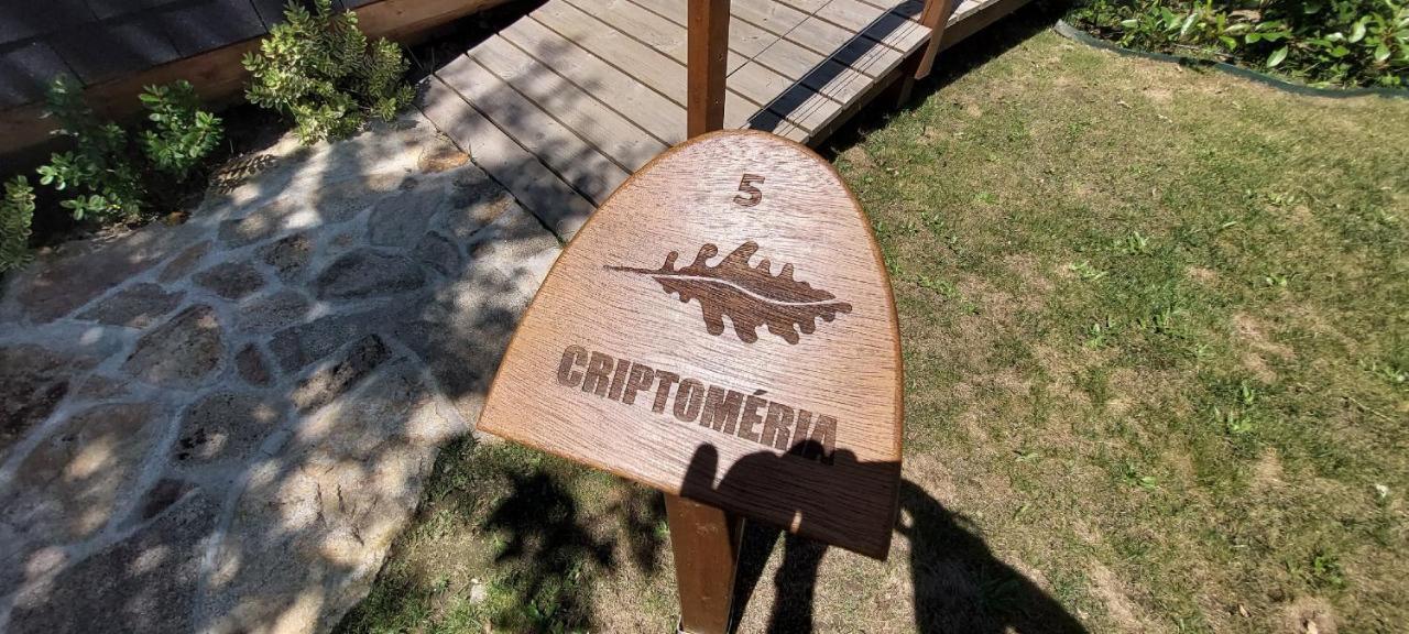 Green Paradise Glamping Covas  Esterno foto